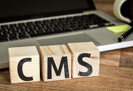 Content management system(CMS)