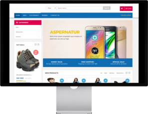 E-commerce Website for Multi-Vendor